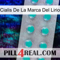 Lily Brand Cialis 28